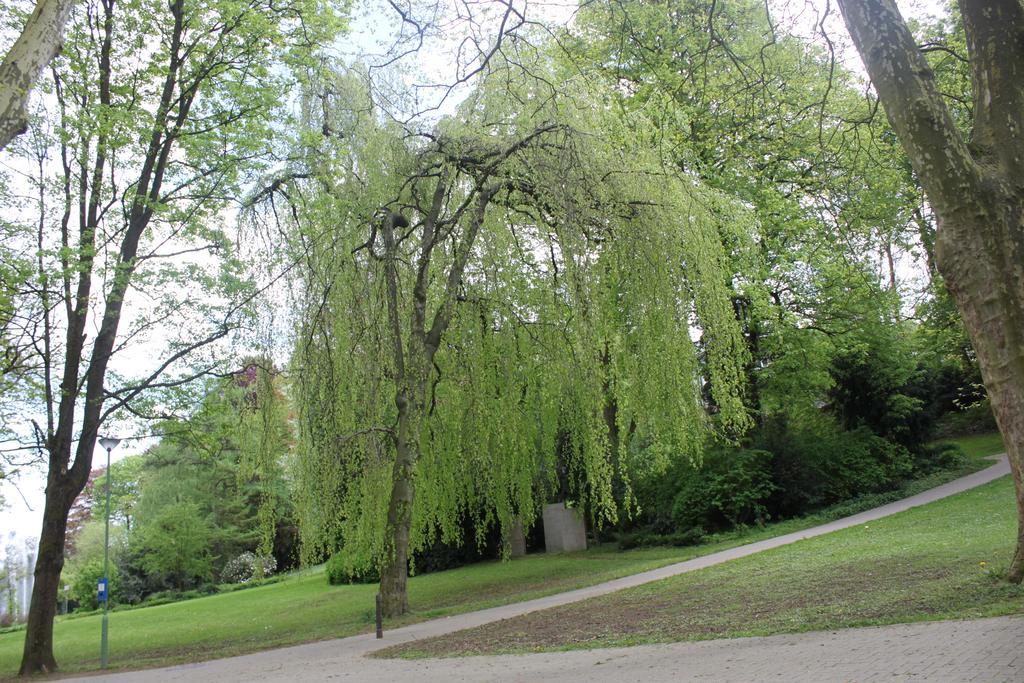 Privatzimmer Hagen Hagen  Bagian luar foto